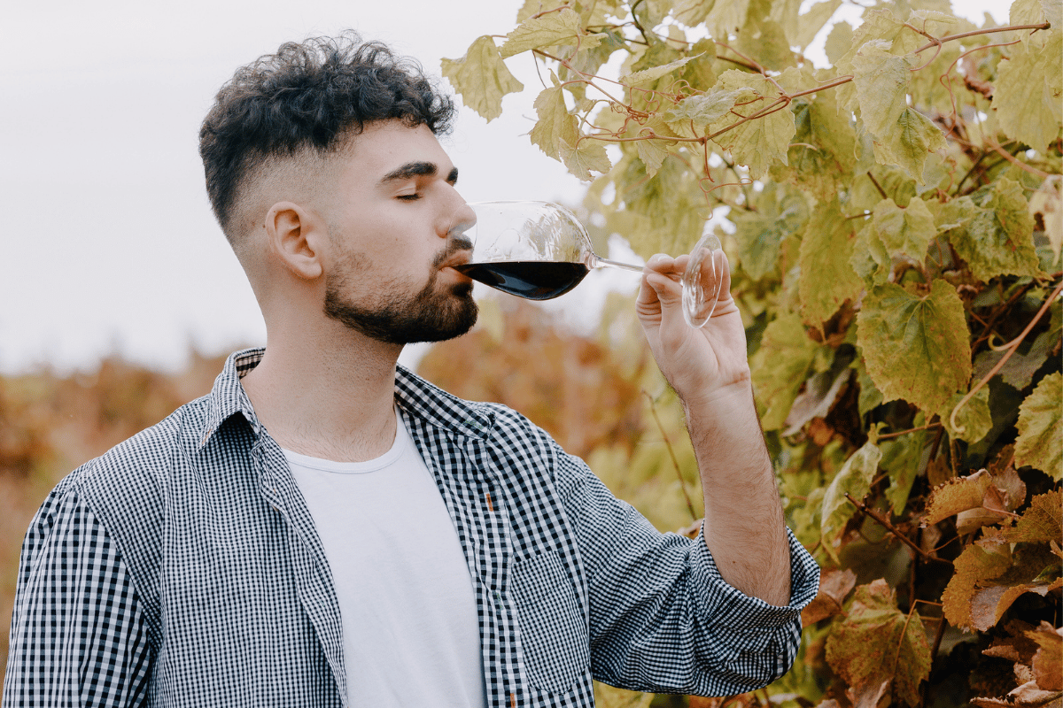 degustace červeného vína na vinici